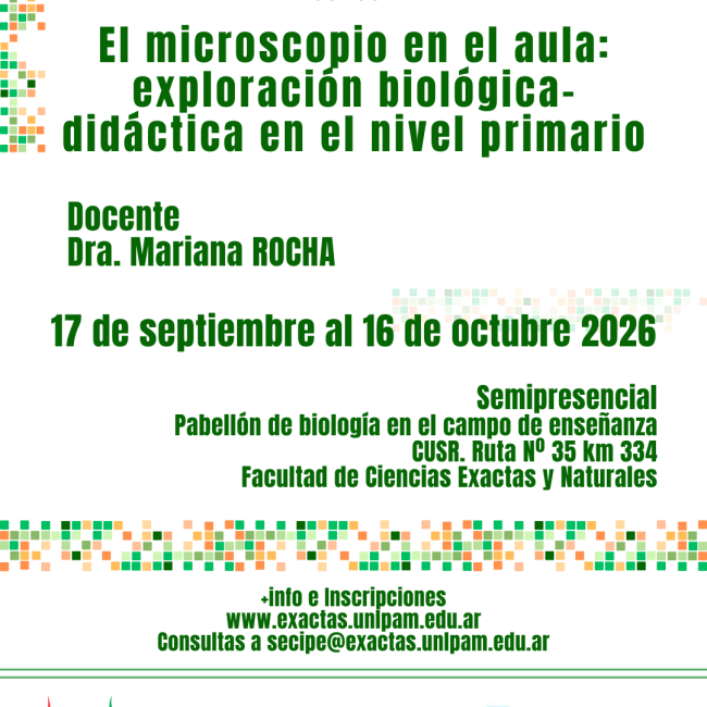 FLYER CURSO ROCHA (1)