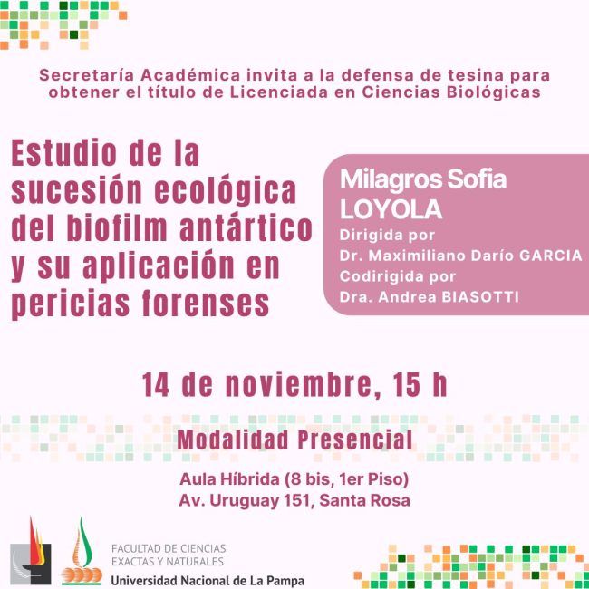 WhatsApp Image 2025-11-11 at 11.50.39