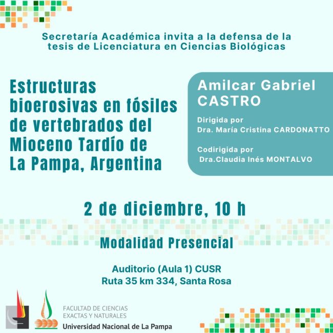 WhatsApp Image 2025-11-26 at 11.33.13